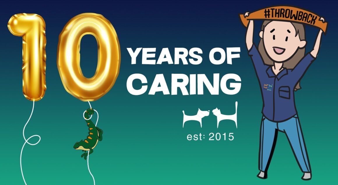 10 Years of Love, Care & Unforgettable Moments