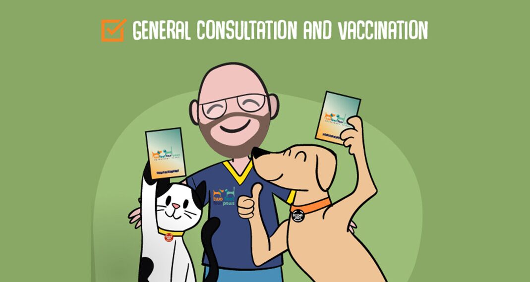 PET VACCINATIONS: Protecting your pet family against diseases